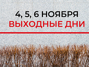 4 ноября - нерабочий день!